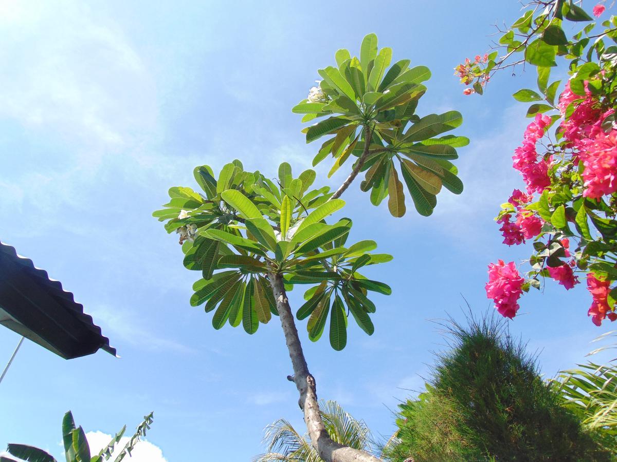 Sister Bungalow Hotel Gili Air Exterior foto